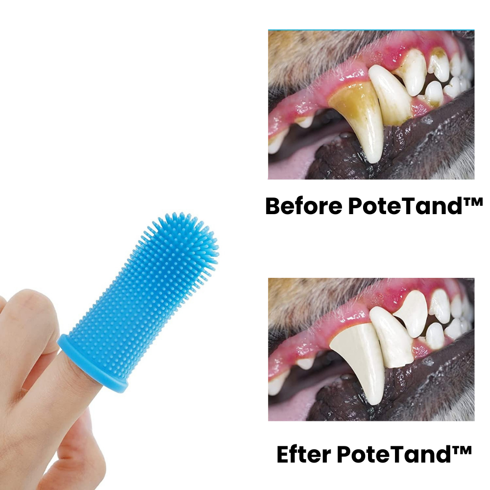 PoteTand™ | Et sundere smil giver gladere poter