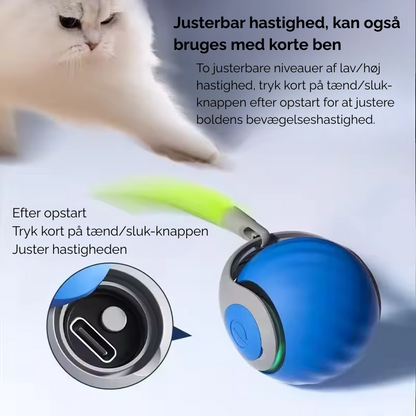 FurPlay™ |  Bring uendelig glæde til din kat - selv når du ikke er hjemme!