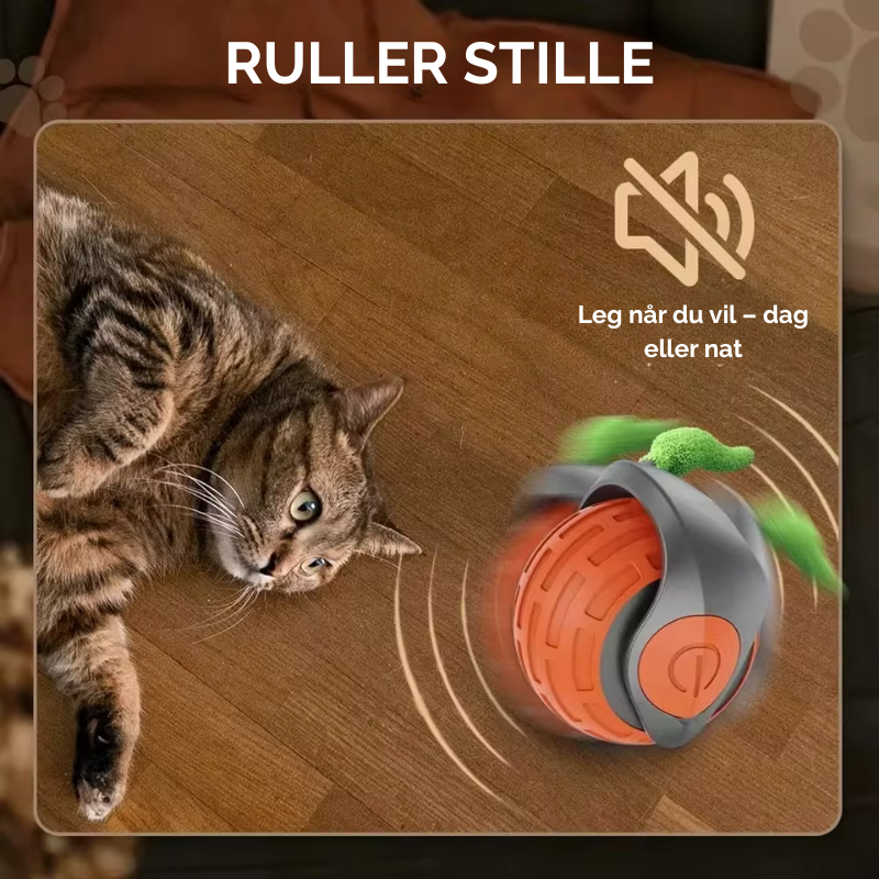FurPlay™ |  Bring uendelig glæde til din kat - selv når du ikke er hjemme!
