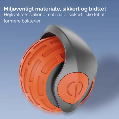 FurPlay™ |  Bring uendelig glæde til din kat - selv når du ikke er hjemme!