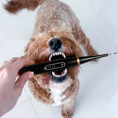 TandHund | Säg adjö till illaluktande andedräkt!